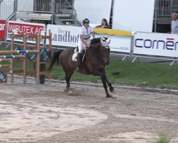FEI Reitturnier Humlikon (SUI) 2018