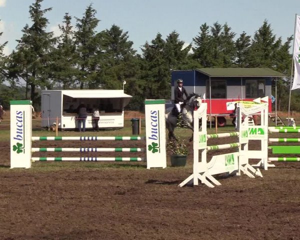 Reitturnier Löwenstedt 2018