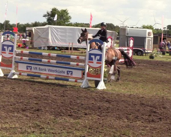 Reitturnier Löwenstedt 2018