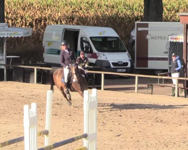 Reitturnier Recklinghausen 2018