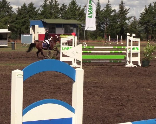 Reitturnier Löwenstedt 2018