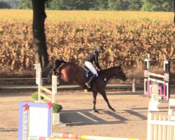Reitturnier Recklinghausen 2018