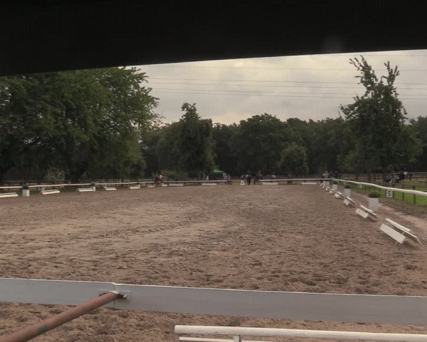 Reitturnier Recklinghausen 2018