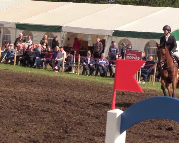 Reitturnier Löwenstedt 2018