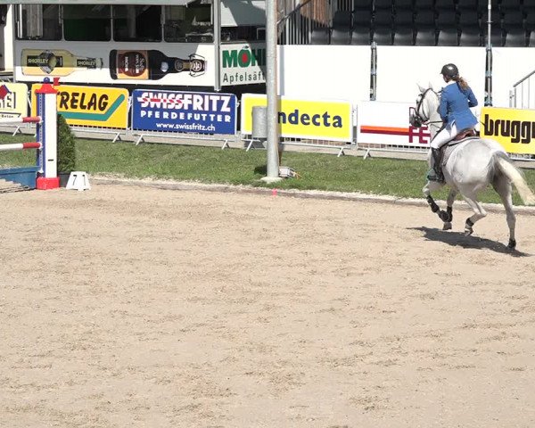 FEI Reitturnier Humlikon (SUI) 2018