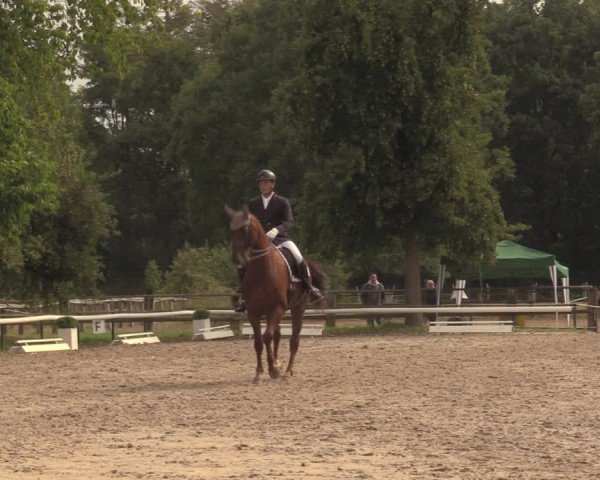 Reitturnier Recklinghausen 2018