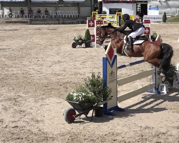 FEI Reitturnier Humlikon (SUI) 2018