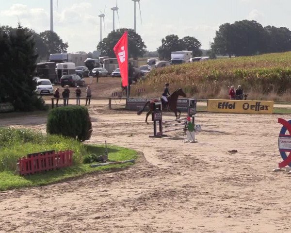 Reitturnier Recklinghausen 2018