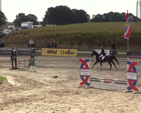 Reitturnier Recklinghausen 2018