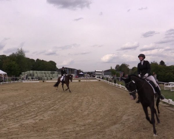 Reitturnier Bühren-Breckerfeld 2018