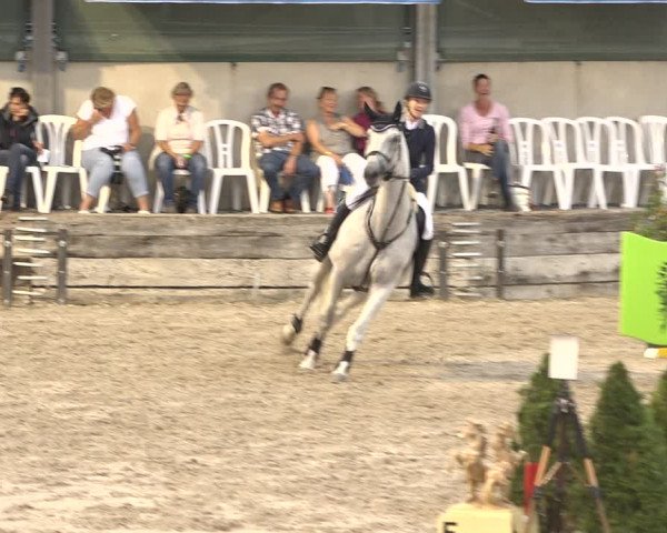 FEI Reitturnier Humlikon (SUI) 2018