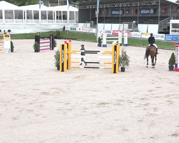 FEI Reitturnier Humlikon (SUI) 2018