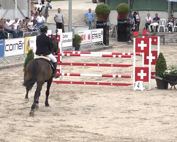 FEI Reitturnier Humlikon (SUI) 2018