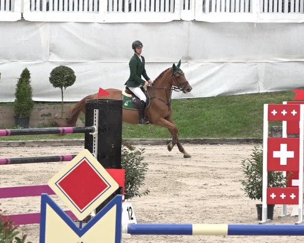 FEI Reitturnier Humlikon (SUI) 2018