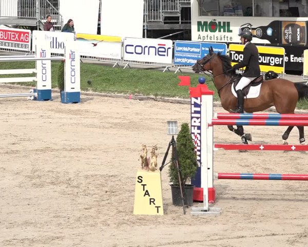 FEI Reitturnier Humlikon (SUI) 2018