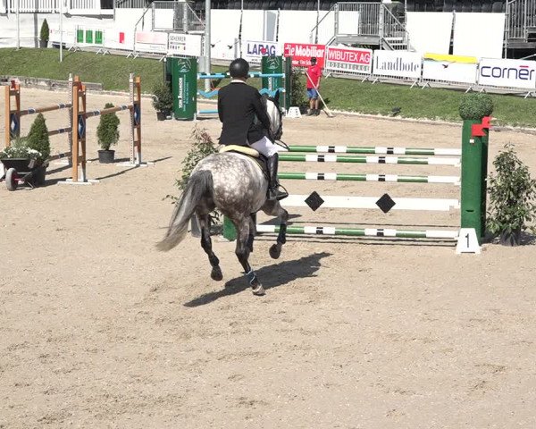 FEI Reitturnier Humlikon (SUI) 2018