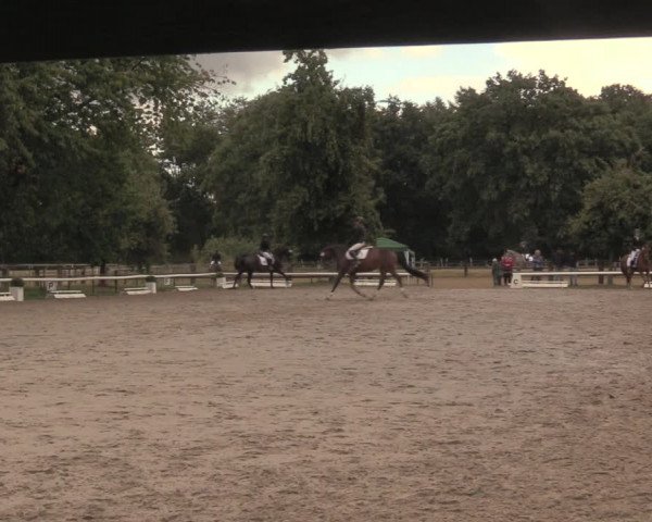 Reitturnier Recklinghausen 2018