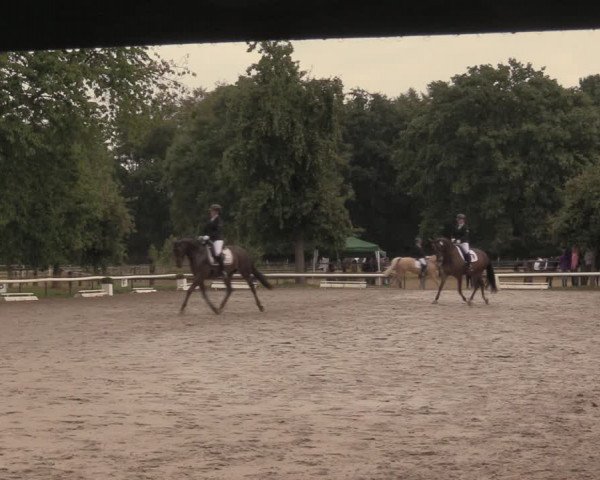 Reitturnier Recklinghausen 2018