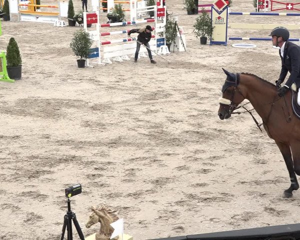 FEI Reitturnier Humlikon (SUI) 2018