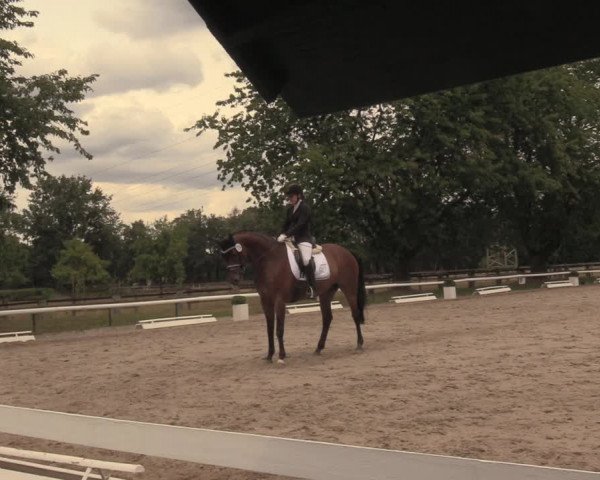 Reitturnier Recklinghausen 2018