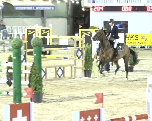 FEI Reitturnier Humlikon (SUI) 2018