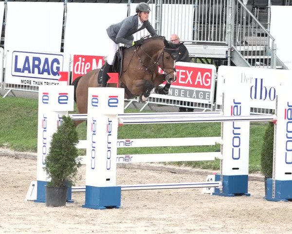 FEI Reitturnier Humlikon (SUI) 2018
