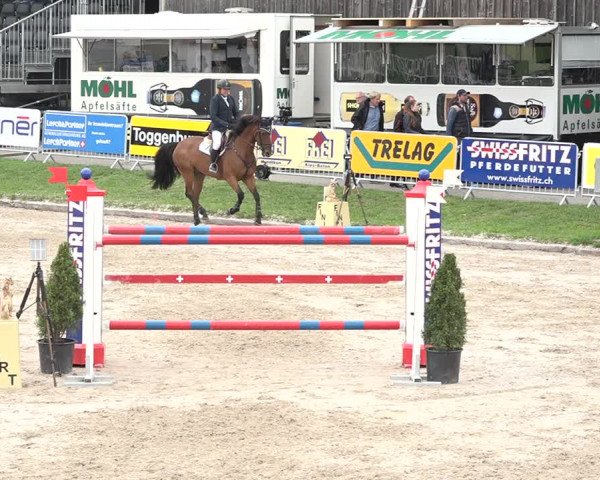FEI Reitturnier Humlikon (SUI) 2018
