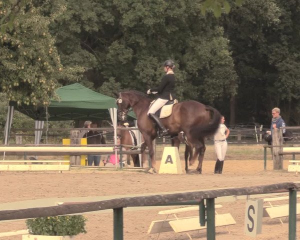 Reitturnier Recklinghausen 2018