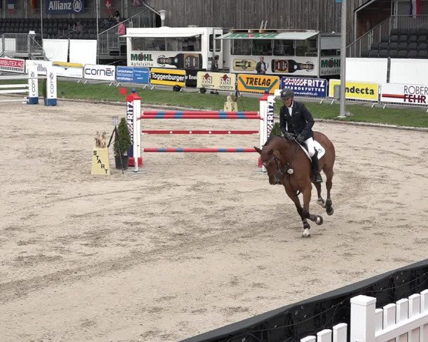 FEI Reitturnier Humlikon (SUI) 2018