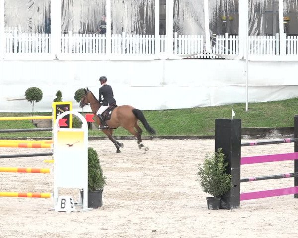 FEI Reitturnier Humlikon (SUI) 2018