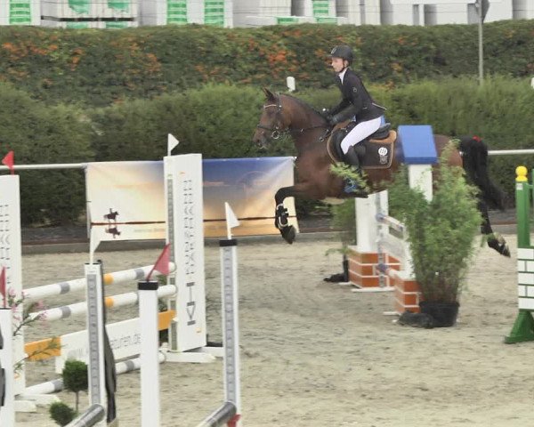Reitturnier Durmersheim-Hardt 2018