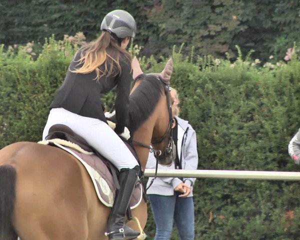 Reitturnier Durmersheim-Hardt 2018