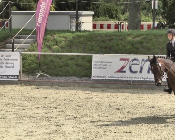 Reitturnier Durmersheim-Hardt 2018