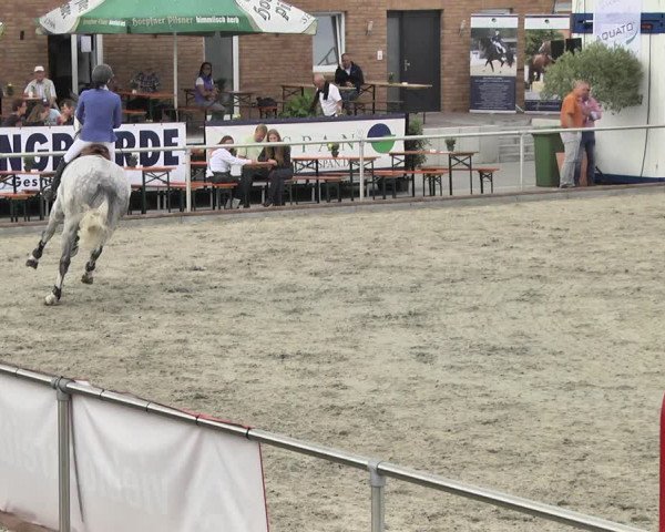 Reitturnier Durmersheim-Hardt 2018