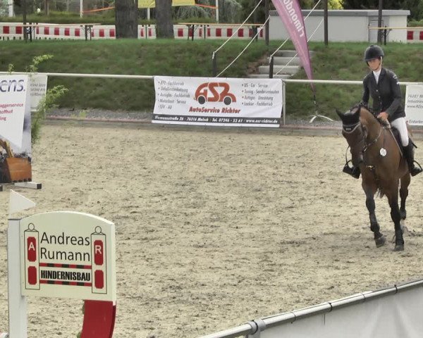 Reitturnier Durmersheim-Hardt 2018