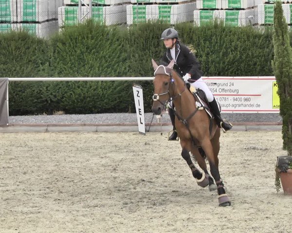 Reitturnier Durmersheim-Hardt 2018