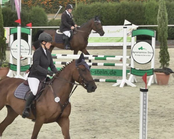 Reitturnier Durmersheim-Hardt 2018