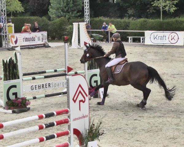 Reitturnier Durmersheim-Hardt 2018