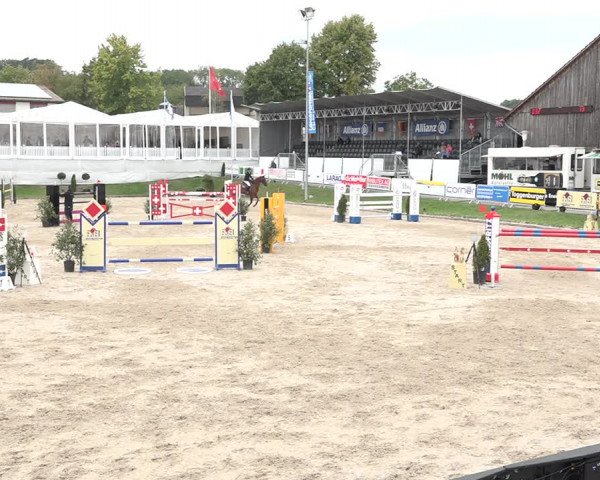 FEI Reitturnier Humlikon (SUI) 2018
