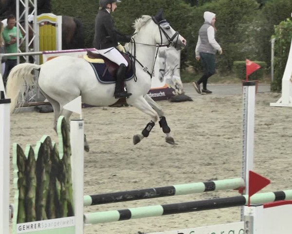 Reitturnier Durmersheim-Hardt 2018