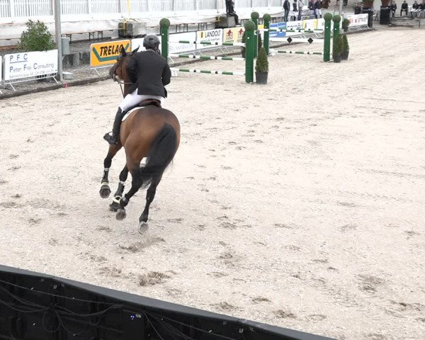 FEI Reitturnier Humlikon (SUI) 2018