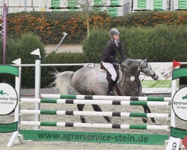 Reitturnier Durmersheim-Hardt 2018