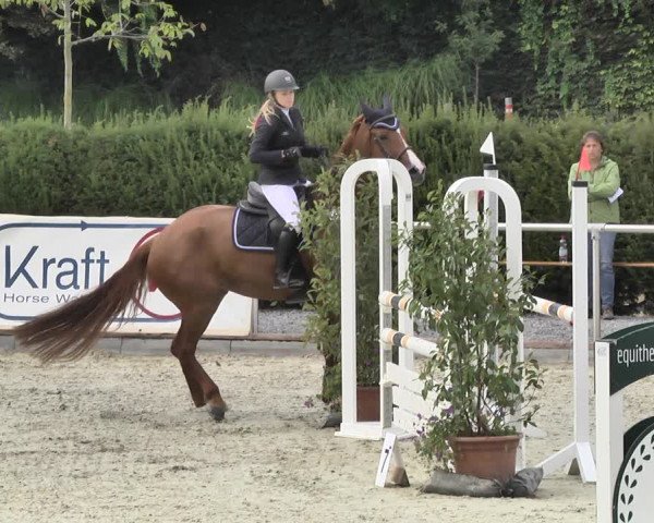 Reitturnier Durmersheim-Hardt 2018