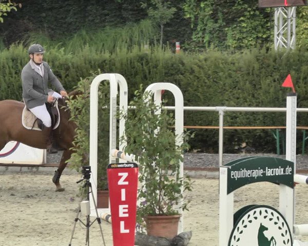 Reitturnier Durmersheim-Hardt 2018
