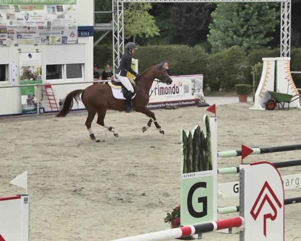 Reitturnier Durmersheim-Hardt 2018
