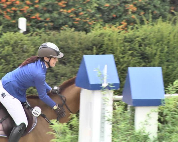 Reitturnier Durmersheim-Hardt 2018