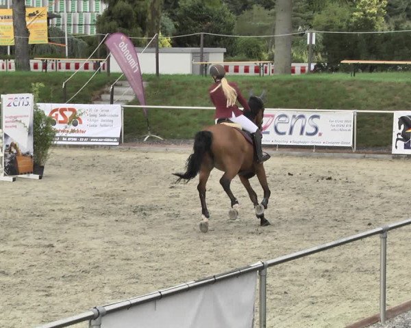 Reitturnier Durmersheim-Hardt 2018