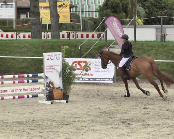 Reitturnier Durmersheim-Hardt 2018