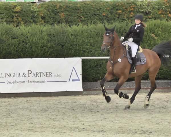 Reitturnier Durmersheim-Hardt 2018