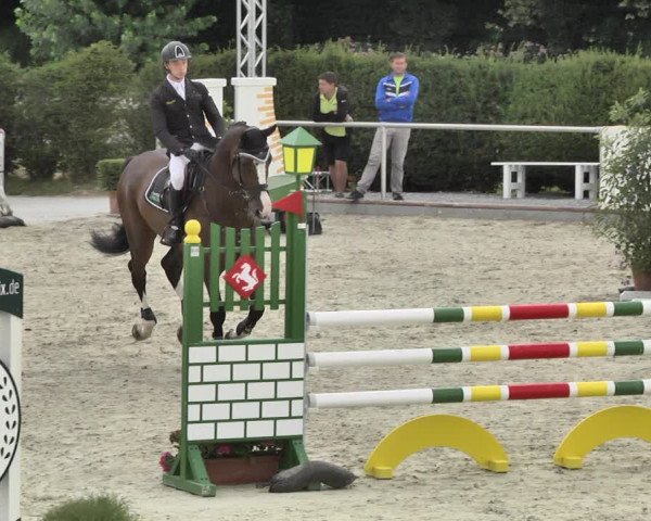Reitturnier Durmersheim-Hardt 2018